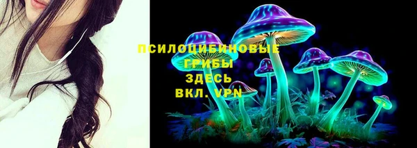 прущие крисы Заволжье