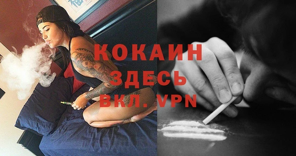 соль курить ск Заводоуковск