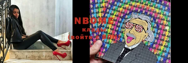 крисы Дегтярск