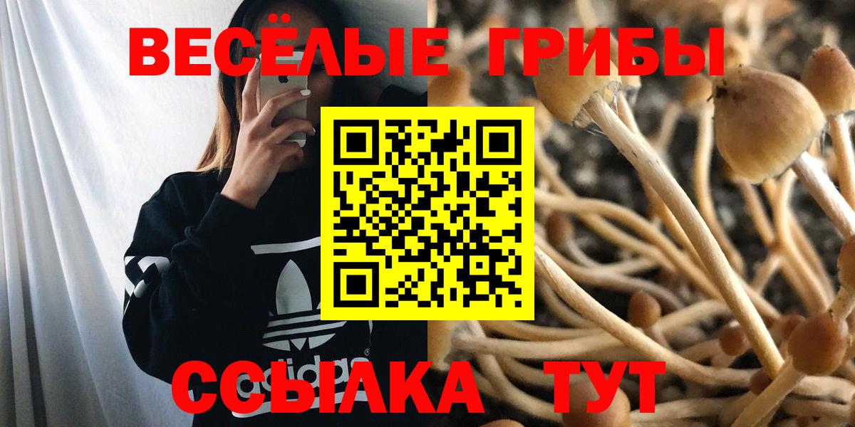 Псилоцибиновые грибы MAGIC MUSHROOMS  Вход с VPN  Псилоцибиновые грибы Cubensis  Зерноград 