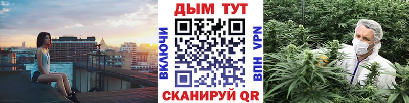 хочу   Зерноград  Канабис семена 